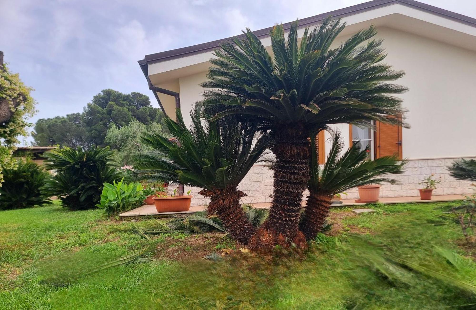 Palagianello B&B Rosa Podere 28 المظهر الخارجي الصورة